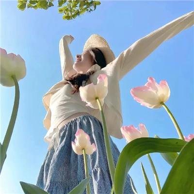 圣塔芭芭拉的盛宴